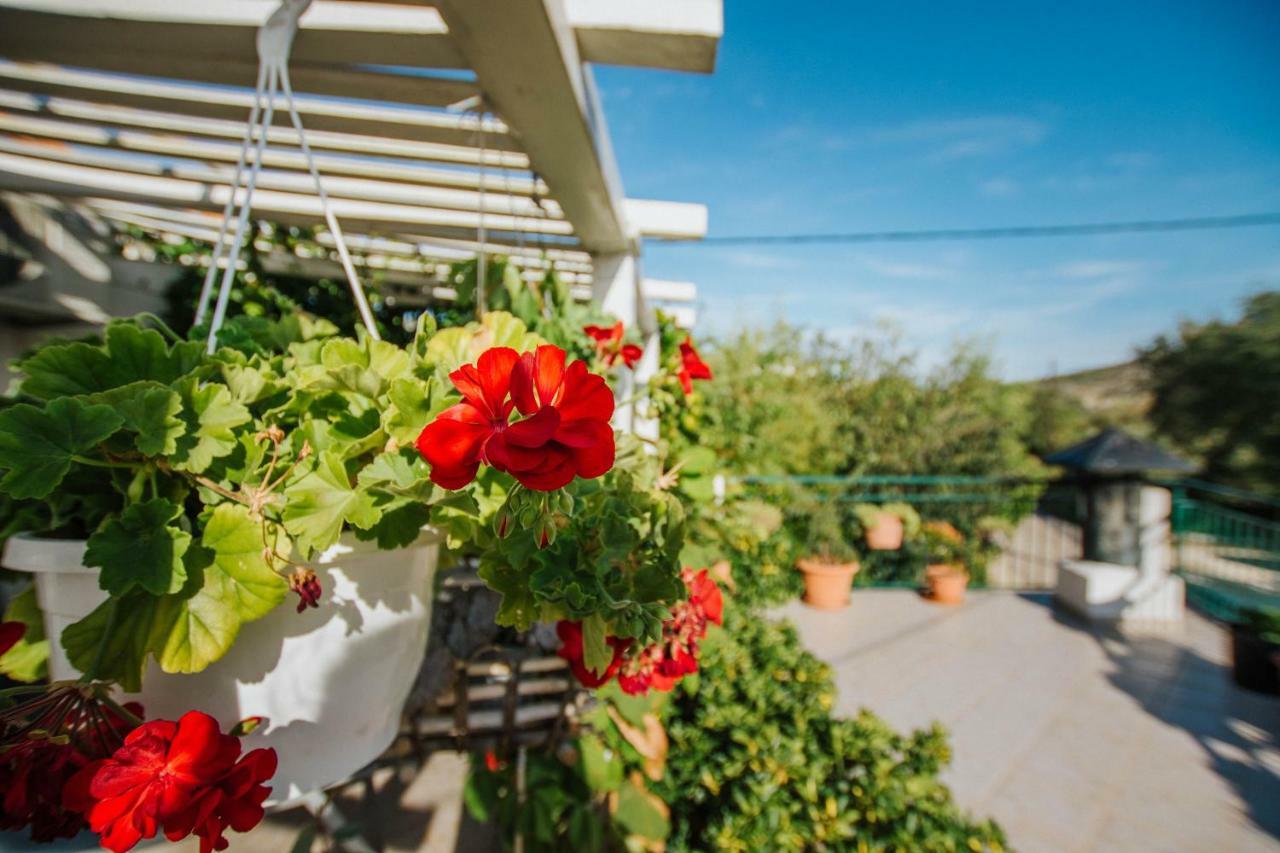 Country House Rusula Vrsine Zewnętrze zdjęcie